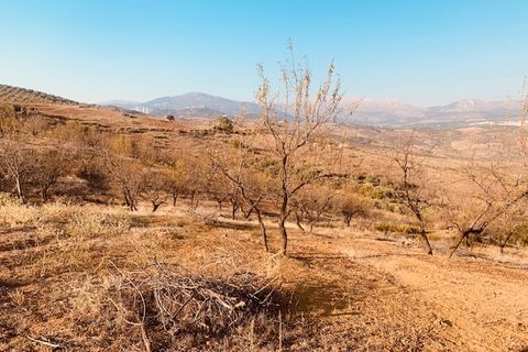Helårsgrund i Vinuela, Malaga, Vinuela - € 63.000 | Ref: ID3897 - foto 3